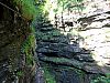 IMG_6555.JPG